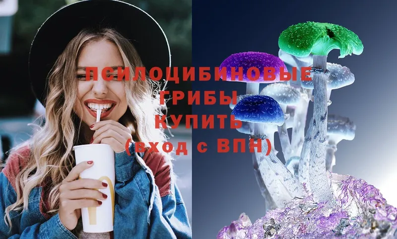 Галлюциногенные грибы Magic Shrooms  Покровск 